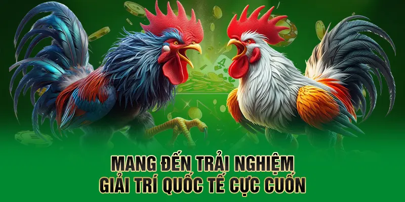 Mang đến trải nghiệm giải trí quốc tế cực cuốn